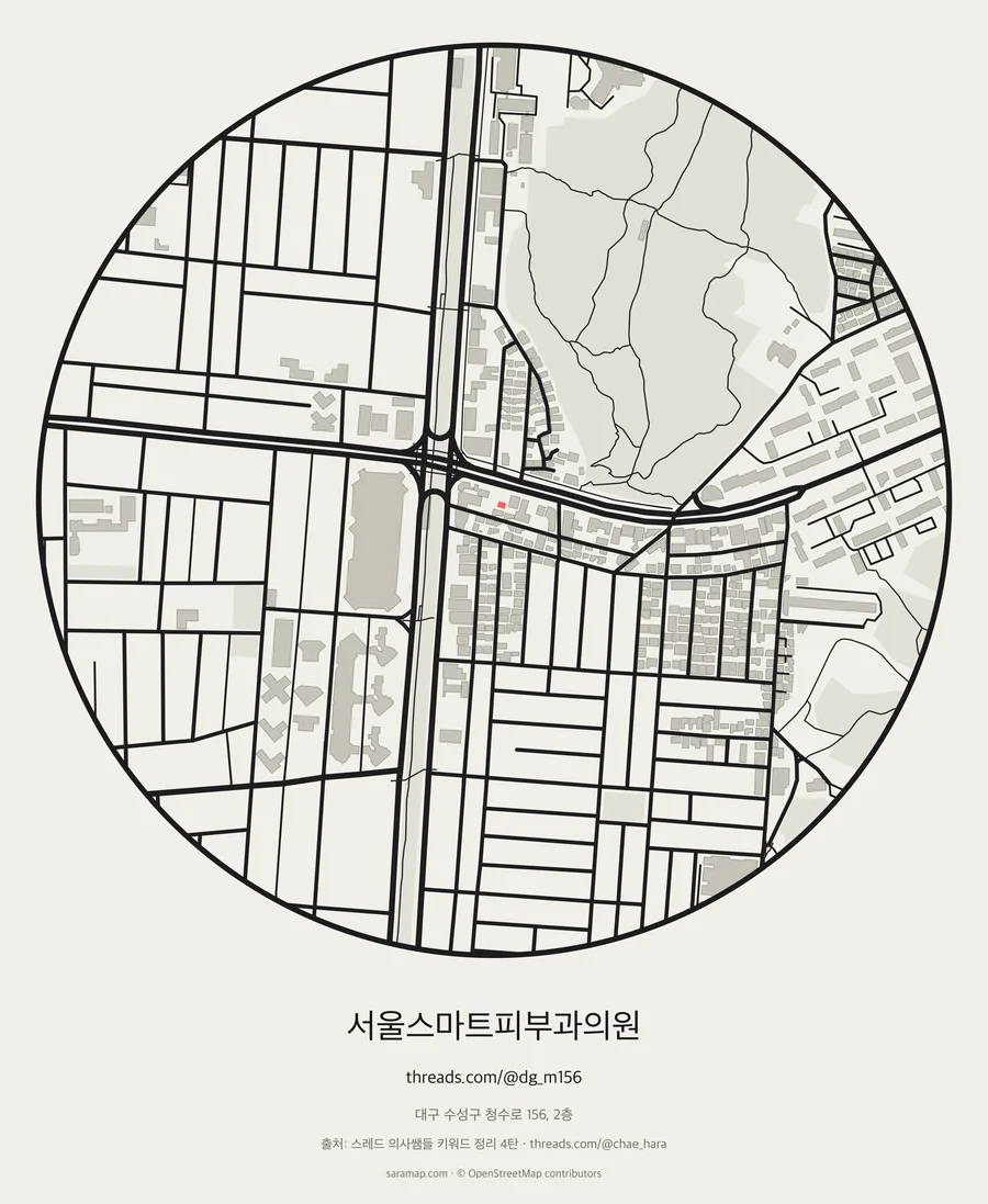 서울스마트피부과의원 지도 카드