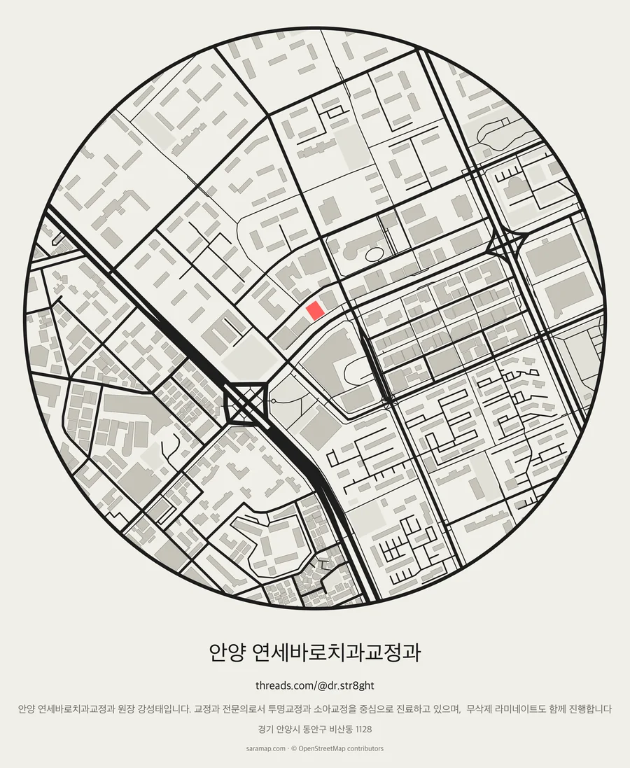 안양 연세바로치과교정과 주변을 그린 지도 그림